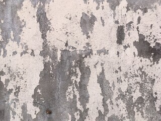 Obraz premium old wall background