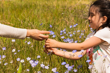 children playing and smelling blue flowers on a sunny day in a grass field
