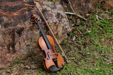 Violin and viola put on grass,During the practice break time to prepare For the concert.