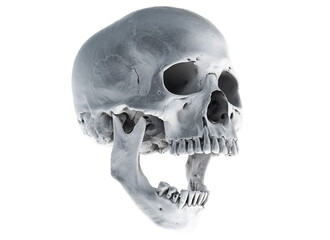 Human skull with an open lower jaw on a Black isolated background. The concept of death, immortality, eternal life, horror. Acult symbol. Spooky Halloween symbol. 3D render