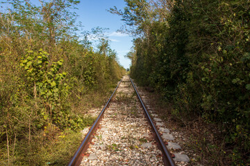 Obraz premium vias del tren