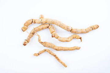 Fresh Chinese herbal medicine Morinda officinalis on white background