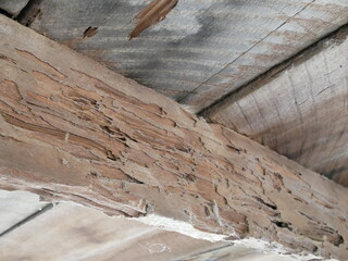 old wooden and termite damage at home.
