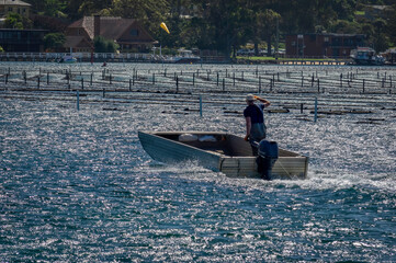  Workboat Past Oysters