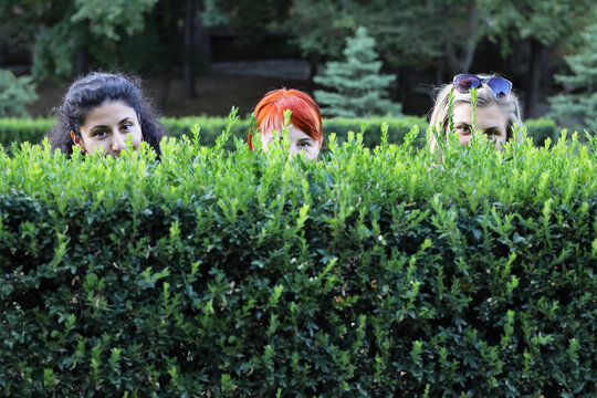 Selective Focus On Faces Of Three Young Women Of Different Ethnicity Peeping Out From Behind Cutting Green Bush In Park With Copy Space