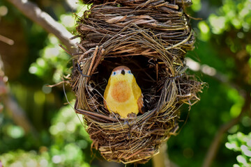 artesanía mexicana. nido y pájaro amarillo sobre fondo de hojas verdes