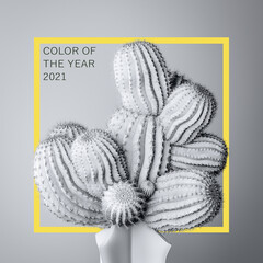 Cactus in trendy color of the year 2021 Ultimate Gray, Illuminating