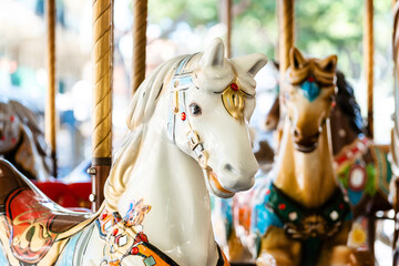 Vintage french carousel horse closeup in fair park. Merry-go-round horses in amusement fun park for...