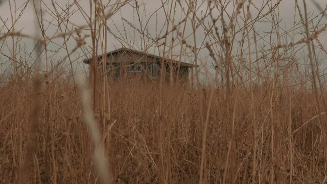 Abandoned old house seen from the pasture in the middle of the Chilean countrysidev