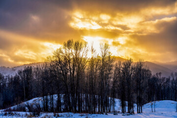 Sunset over the hills and bare trees in the snow