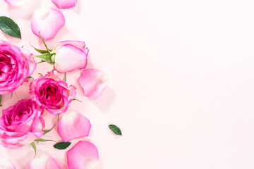 Naklejka na ściany i meble Pink roses