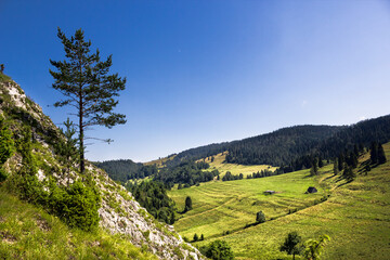 Summer Mountains, Pieniny. View from Smolegowa Skala on Southeast - Brysztanskie Skaly and Rozdziela Pass.