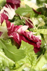 Mixed green leaf vegetables. Macro.