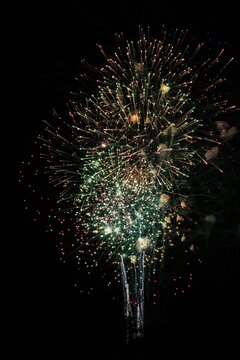 Green And Gold Finale Firework Burst