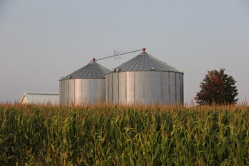 grain silos in the field © John