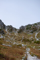 Footpath leading up to Senjojiki Cirque with yellow grassland and rocky terrain in early autumn in Nagano Prefecture, Japan.