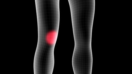 3d illustration of a woman xray hologram showing pain area on the leg area