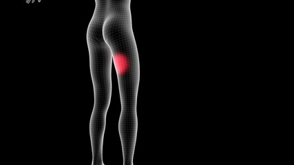 3d illustration of a woman xray hologram showing pain area on the leg area