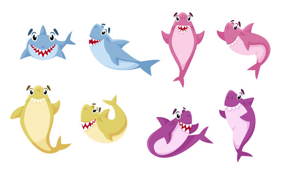Cartoon Shark isolated clipart - cute undersea or marine animals, nursery nautical life illustrations on white background, vector design elements set for kids