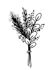 Fototapeta na wymiar Simple hand-drawn vector drawing in black outline. Bouquet of wildflowers, spikelet, pampas grass isolated on white background. For printing postcards, labels. Gift, birthday, wedding boho style.