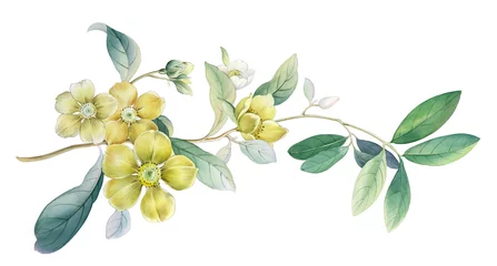 Flowers watercolor illustration. Manual composition.Design for cover, fabric, textile, wrapping paper . © lin