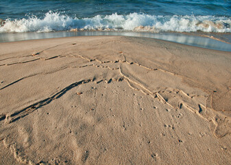 516-03 Wave on Lake Superior Shore