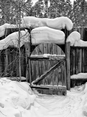 Fragment of a snow-covered wooden fence and a gate.