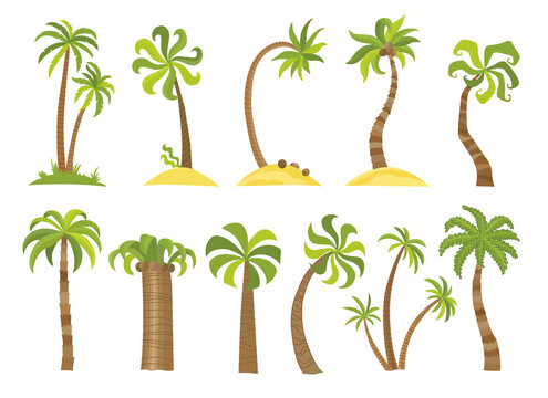 set of simple palm trees. Flat cartoon palms on white background.