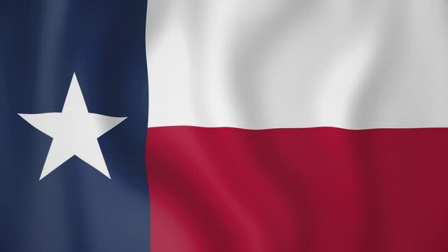 Texas animated flag. Seamless loop. 4K