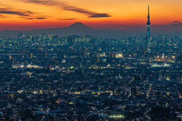 富士山と東京の夜景