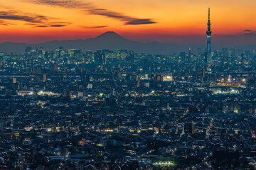 Fototapeta premium 富士山と東京の夜景
