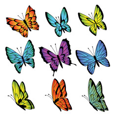 Collection of colorful butterflies. butterfly set.