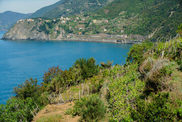 Fototapeta na wymiar nice landscape in the Italy