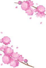 Peach Blossom background spring flower hinamatsuri