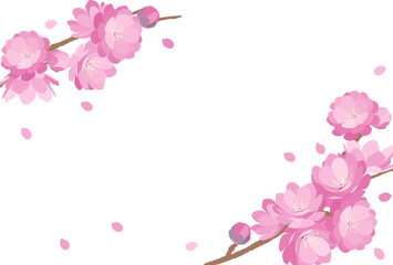 Obraz na płótnie Canvas Peach Blossom background spring flower hinamatsuri