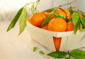 a wooden basket of bright tangerines or clementines with lots leaves, seasonal fruits for advertising, organic ecological concept