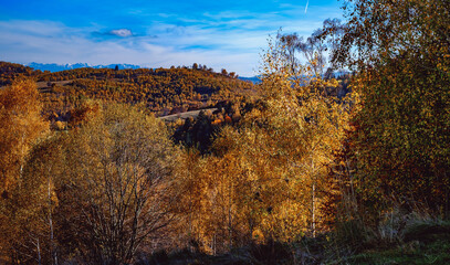 Fototapeta premium beautiful autumn landscapes in the Romanian mountains, Fantanele village area, Sibiu county, Cindrel mountains, Romania