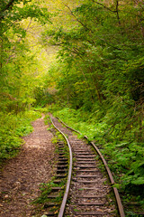 Abandoned railway in autumn mountain forest with foliar trees in Caucasus, Mezmay