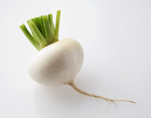 かぶ　　野菜