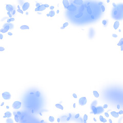 Dark blue flower petals falling down. Incredible r