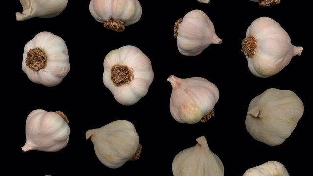 Realistic render of falling garlic heads on transparent background (with alpha channel). The video is seamlessly looping, and the objects are 3D scanned from real garlics.
