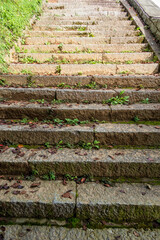 苔生す石の階段　Old stone stairs with moss