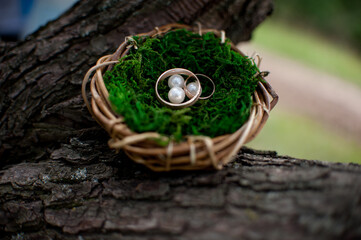 rings in a box in the form of a nest on the background of tree bark