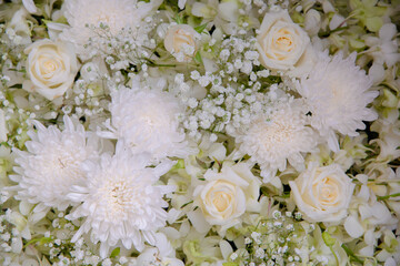 bunch of beautiful dilicated flower