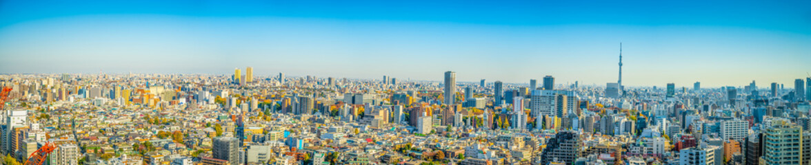Fototapeta na wymiar Tokyo rooftop panorama on sunny day. Japan