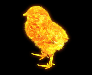 chicken hen animal symbol, fir flame icon logo illustration