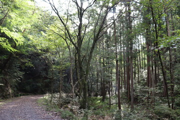 Obraz premium 宇連山の綺麗な景色