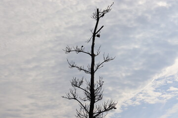 宇連山の綺麗な景色