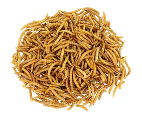 Pile of dried mealworm larvae isolated on a white background, used for pets and wild bird food