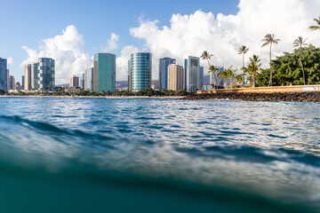 Fototapeta premium Honolulu Surfing